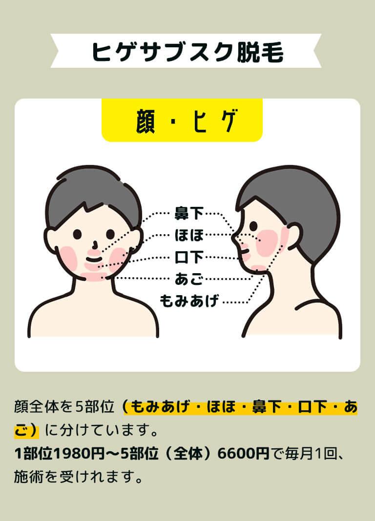 ヒゲサブスク脱毛 顔全体を5部位(もみあげ・ほほ・鼻下・口下・あご)に分けています。1部位1980円~5部位(全体)6600円で毎月1回、施術を受けれます。